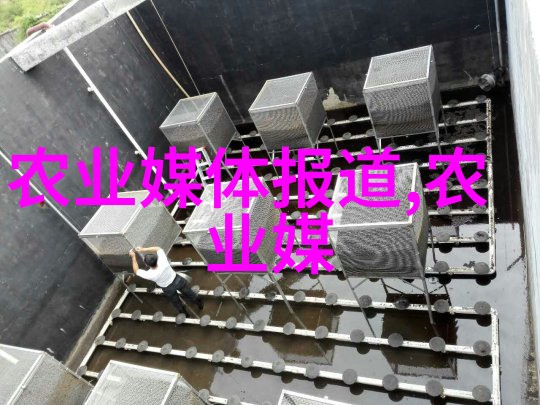 光明网报告建议优化农产品加工业区域布局xff0c推动农产品加工产业向乡村集聚